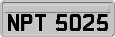 NPT5025
