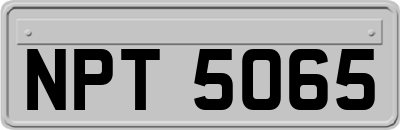 NPT5065