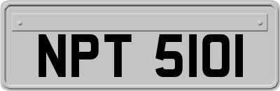 NPT5101