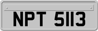 NPT5113