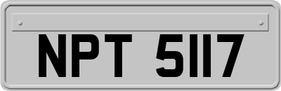 NPT5117