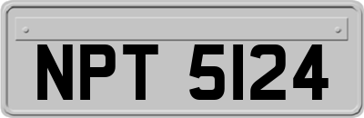 NPT5124