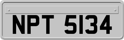 NPT5134