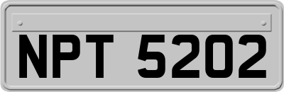 NPT5202