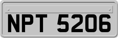 NPT5206
