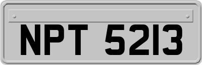 NPT5213