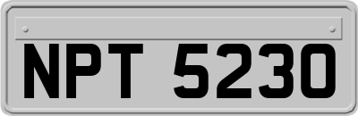 NPT5230