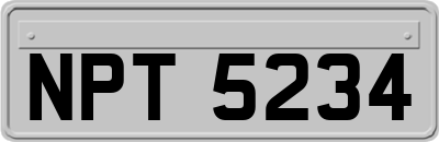 NPT5234