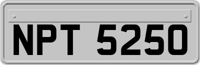 NPT5250