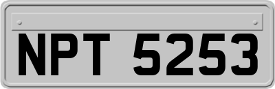 NPT5253