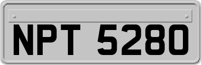 NPT5280