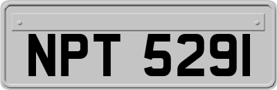 NPT5291