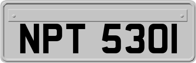 NPT5301