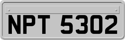 NPT5302