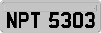 NPT5303