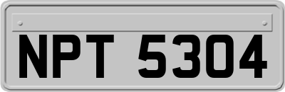 NPT5304