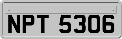 NPT5306