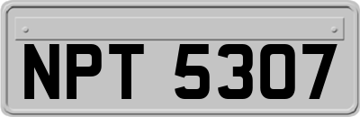 NPT5307