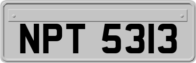 NPT5313