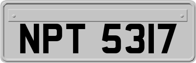 NPT5317