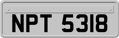 NPT5318