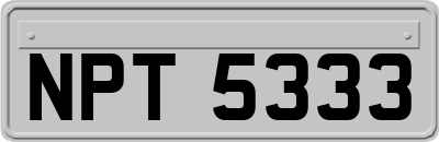 NPT5333