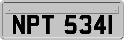 NPT5341