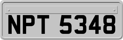 NPT5348