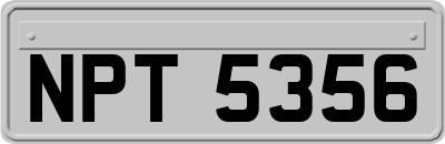 NPT5356