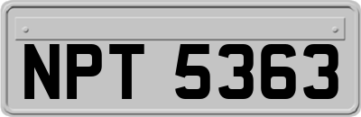 NPT5363