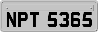 NPT5365