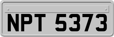 NPT5373