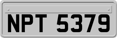 NPT5379