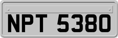 NPT5380