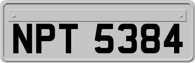 NPT5384