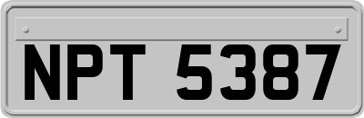 NPT5387