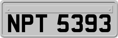 NPT5393