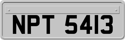NPT5413