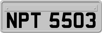 NPT5503