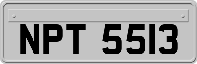 NPT5513