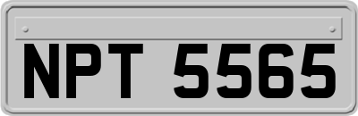 NPT5565