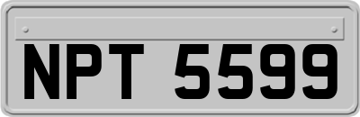 NPT5599