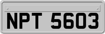 NPT5603