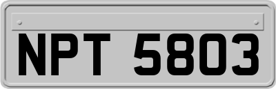 NPT5803