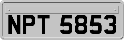 NPT5853