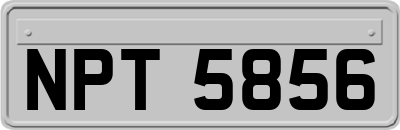 NPT5856