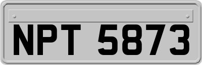 NPT5873