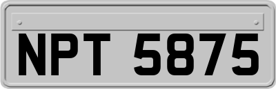 NPT5875