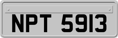 NPT5913