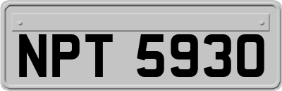 NPT5930